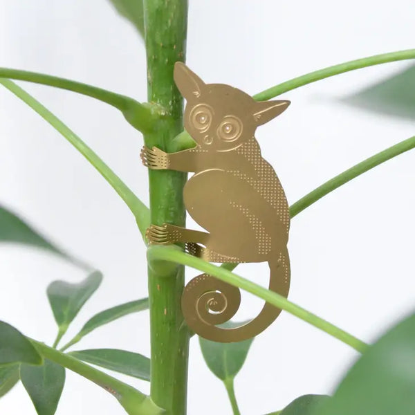 Plant Animal - Bush Baby - Another Studio for Design Ltd - Wild Lark