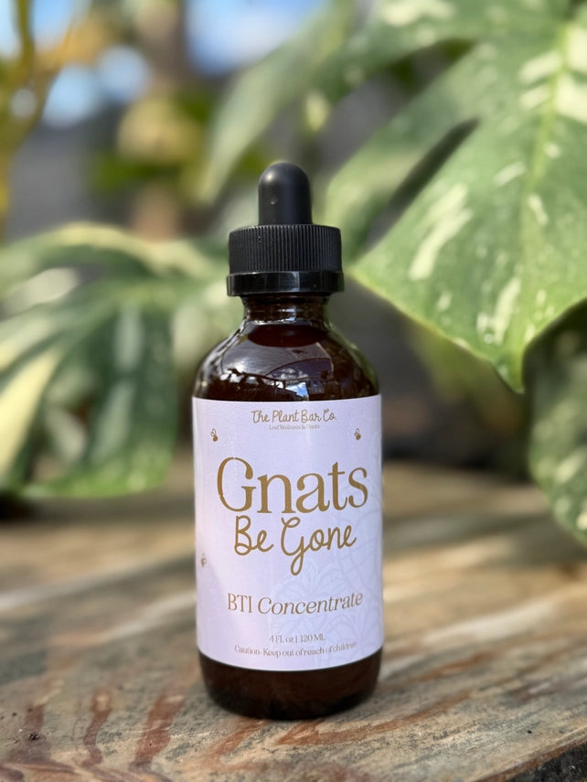 bti plants Gnats Be Gone