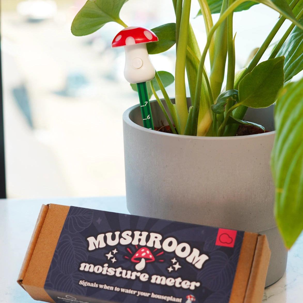 soil moisture meter for houseplants Mushroom Moisture Meter – Wild Lark