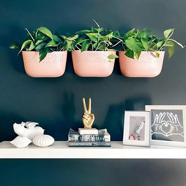 WallyGro Eco Planters (9 Colors Available) - Light Pink - WallyGro - Wild Lark