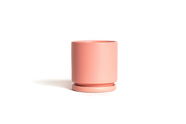 8.25" Fresco Cylinder Pots with Water Saucers - Bubblegum - Momma Pots - Wild Lark