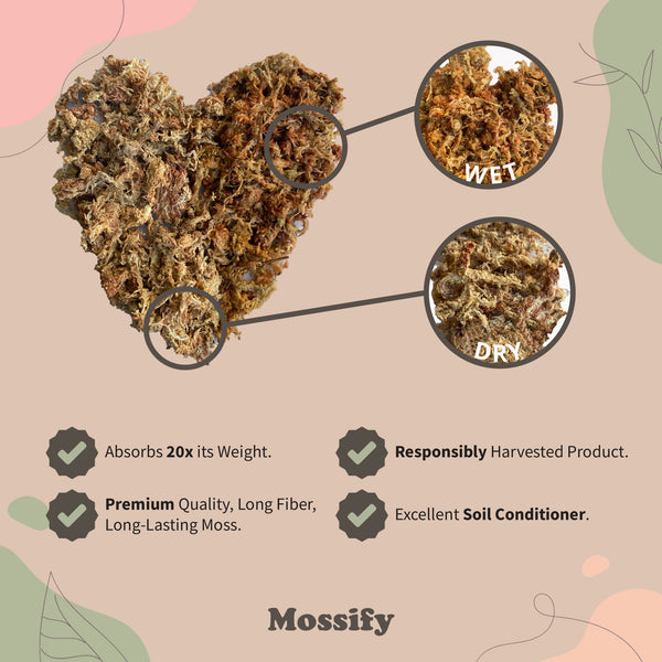 Premium Sphagnum Moss Bag -  - Mossify - Wild Lark