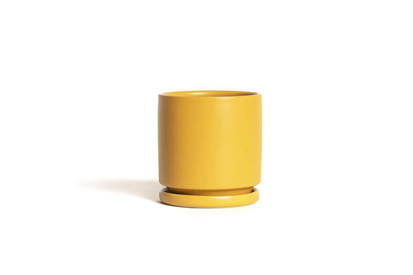 8.25" Fresco Cylinder Pots with Water Saucers - Mustard - Momma Pots - Wild Lark