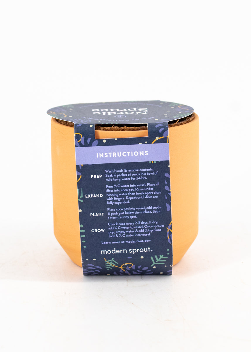 Nordic Spruce SeedSprouting Kit Wild Lark