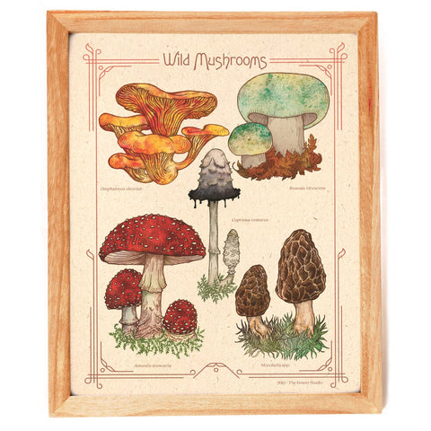 Wild Mushrooms Print -  - Small Victories - Wild Lark