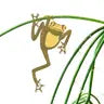 Plant Animal - Tree Frog - Another Studio for Design Ltd - Wild Lark