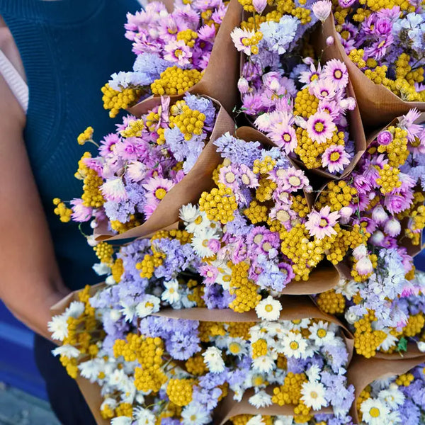 Dried Flowers - Market More Xl - Dutch Mix - - Wildflowers by Floriette - Wild Lark