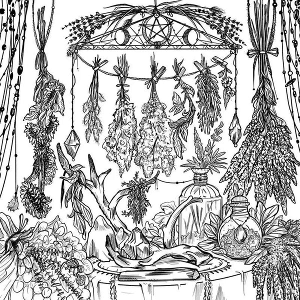 Green Witch's Coloring Book By Arin Murphy-Hiscock -  - Simon & Schuster - Wild Lark