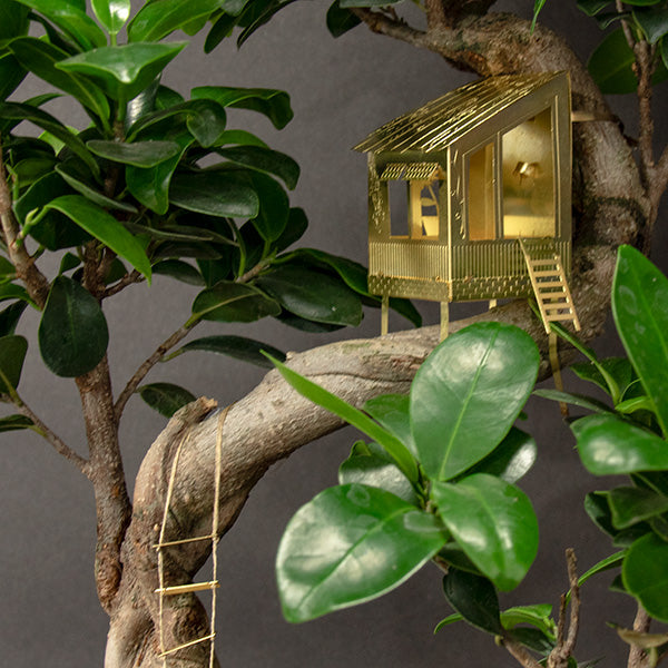 Tiny Treehouse For Your Plants -  - Botanopia USA - Wild Lark