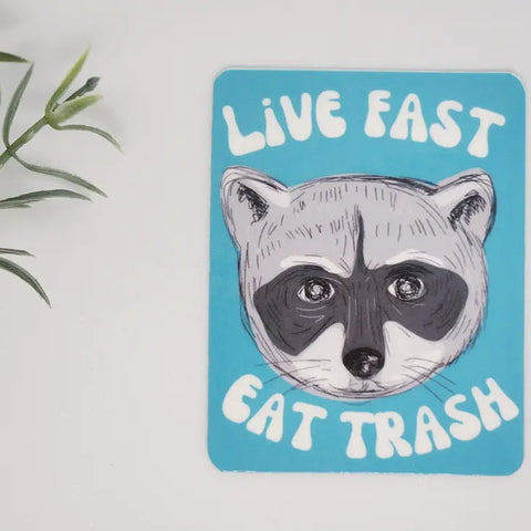 Live Fast Eat Trash Raccoon Sticker -  - Luxe Trauma - Wild Lark