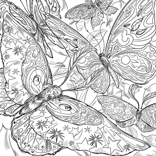 Green Witch's Coloring Book By Arin Murphy-Hiscock -  - Simon & Schuster - Wild Lark