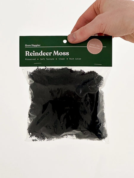 Preserved Reindeer Moss | Moss For Plants and Crafts - Black / 30g Bag - The Plant Supply - Wild Lark