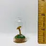 Mushroom Curiosity Jar Real Fungi Curio - 1859 - Fungus Farm - Wild Lark