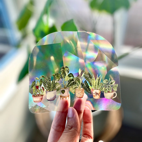 Rainbow Maker Suncatcher Window Decal Sticker - Potted Plant - Plant Scouts - Wild Lark