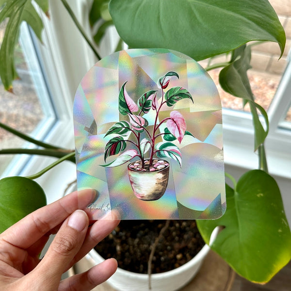 Rainbow Maker Suncatcher Window Decal Sticker - Pink Princess - Plant Scouts - Wild Lark