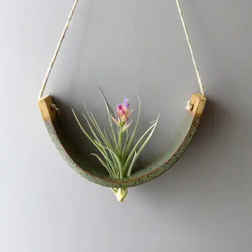 Hanging Air Plant Cradles - Gunmetal Green / Small - Mudpuppy Ceramic Studio - Wild Lark