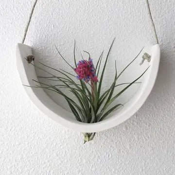 Hanging Air Plant Cradles - White / Small - Mudpuppy Ceramic Studio - Wild Lark