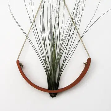 Hanging Air Plant Cradles - Terracotta / Small - Mudpuppy Ceramic Studio - Wild Lark
