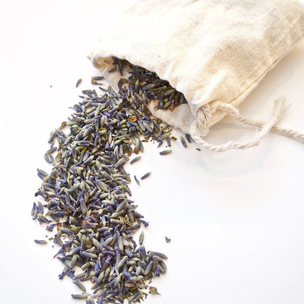 Lavender Sachet - - Seattle Seed Co. - Wild Lark
