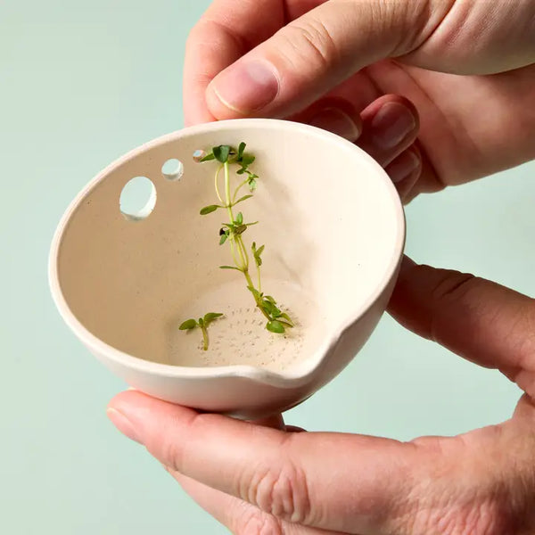 Peel, Grate & Prep Dish - - Modern Sprout - Wild Lark