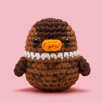 Beginner Crochet Kit