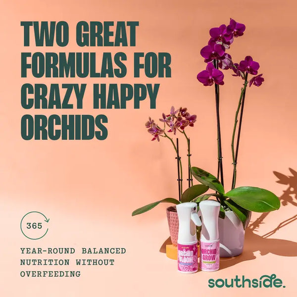 Orchid Grow & Bloom Sprays - - Southside. - Wild Lark