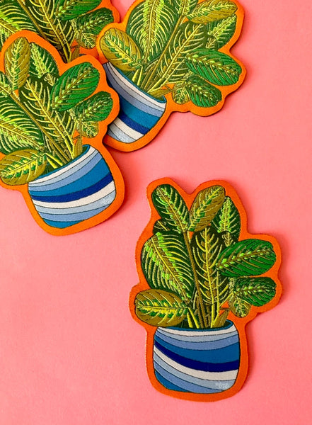 Patches - Prayer Plant - MBMB - Wild Lark