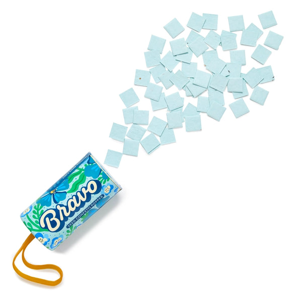 Seed Confetti Poppers - Bravo - Modern Sprout - Wild Lark