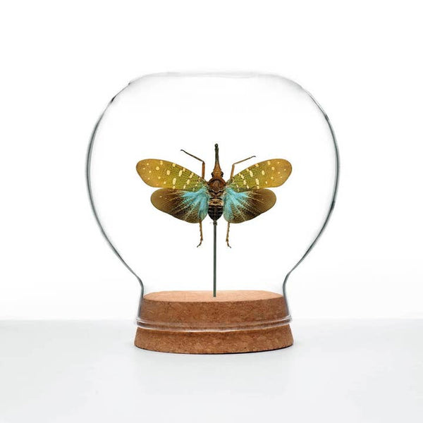 Butterfly Globes - Teal Lanternfly - Green Beetle Shop - Wild Lark