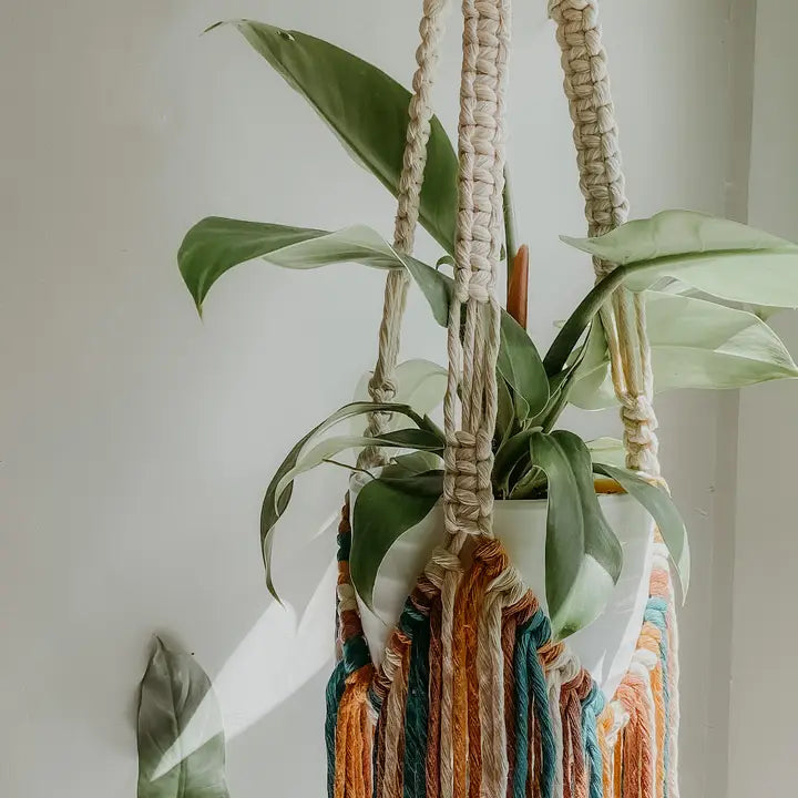 Macrame Plant Hanger with Fringe - Teal Mix - Knotted - Wild Lark