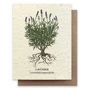 Lavender Plantable Wildflower Seed Card -  - Small Victories - Wild Lark