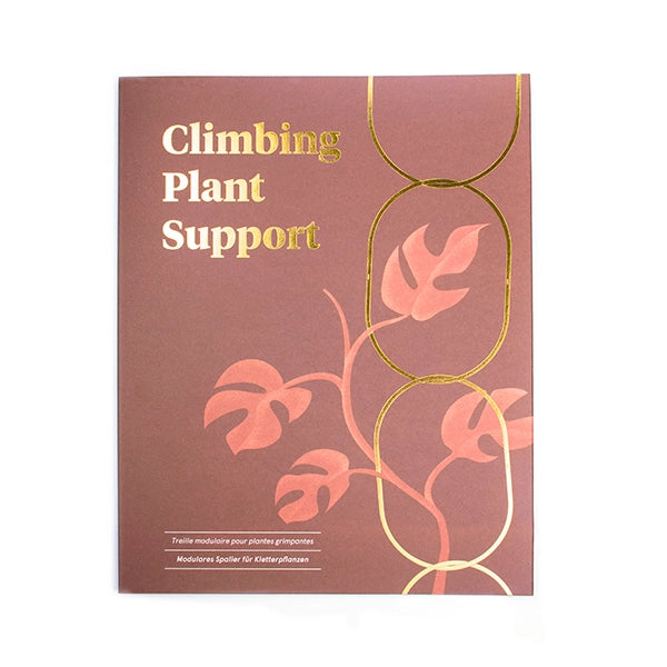 Gold Brass Chain - Plant Support For Climbing Plants -  - Botanopia USA - Wild Lark