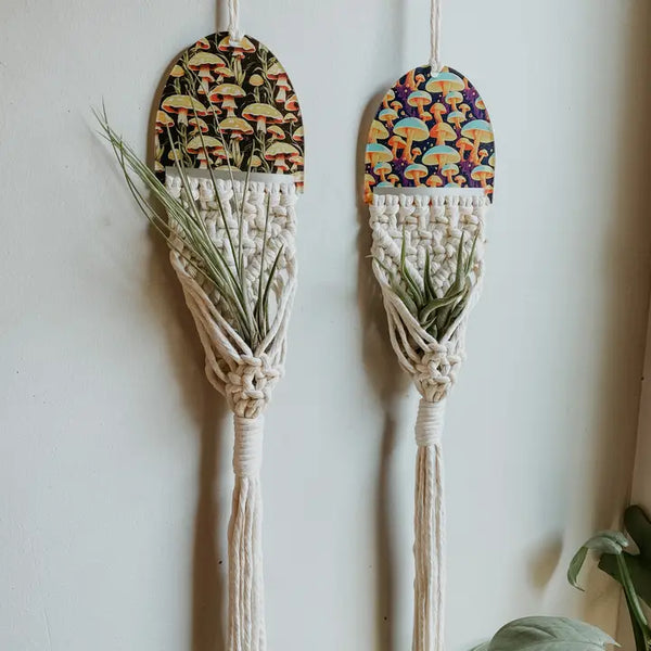 mushroom plant hanger Air Plant Hanger – Wild Lark