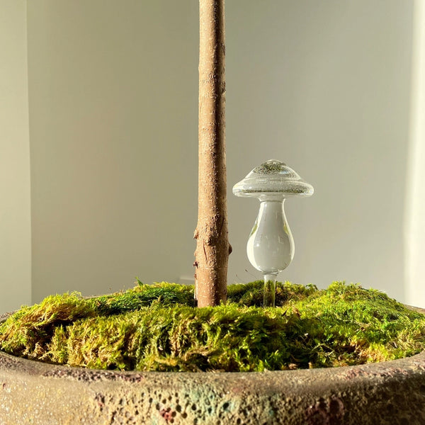 Mushroom Self Watering Glass -  - Filtrum Home - Wild Lark