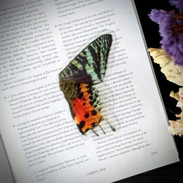 Clear Bookmark - Madagasgar Sunset Moth Butterfly Wing - Dark Veinlet - Wild Lark