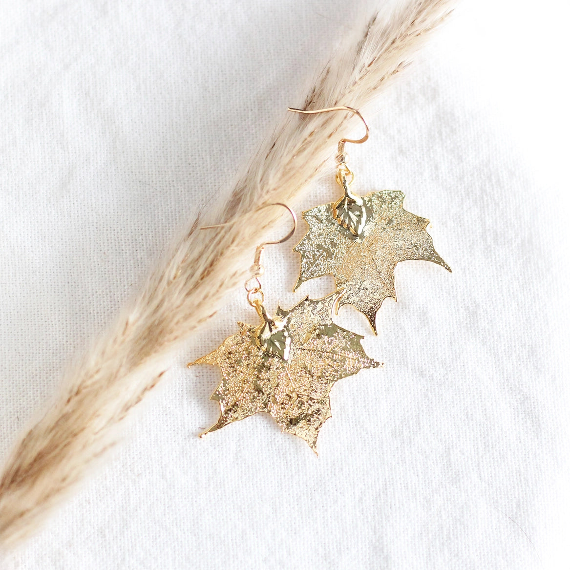Maple Leaf Earrings - Gold - Birch Jewellery - Wild Lark