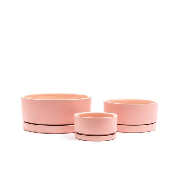 8.25" Gemstone Low-Bowls with Water Saucers - Bubblegum - Momma Pots - Wild Lark