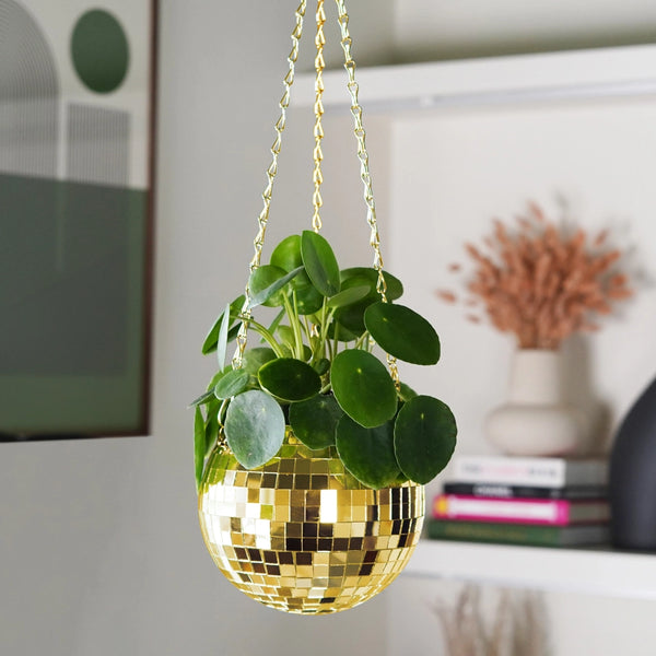 Disco Ball Hanging Planter - 6 inch Gold - Bubblegum Stuff US - Wild Lark