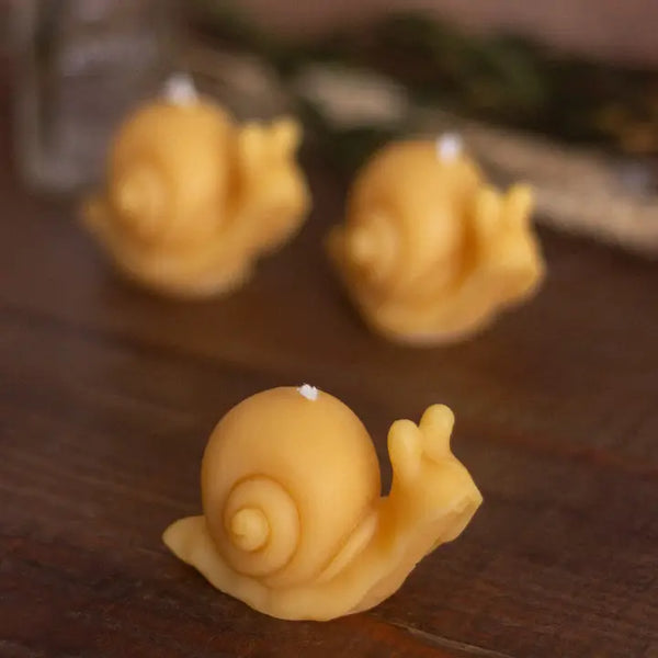 Snail Beeswax Candle -  - The Ramblin' Bee - Wild Lark