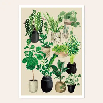 Posters by Melanie Voituriez - Plant Love (chalk) - Melanie Voituriez - Wild Lark