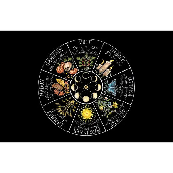 Wild Witchcraft By Rebecca Beyer -  - Simon & Schuster - Wild Lark