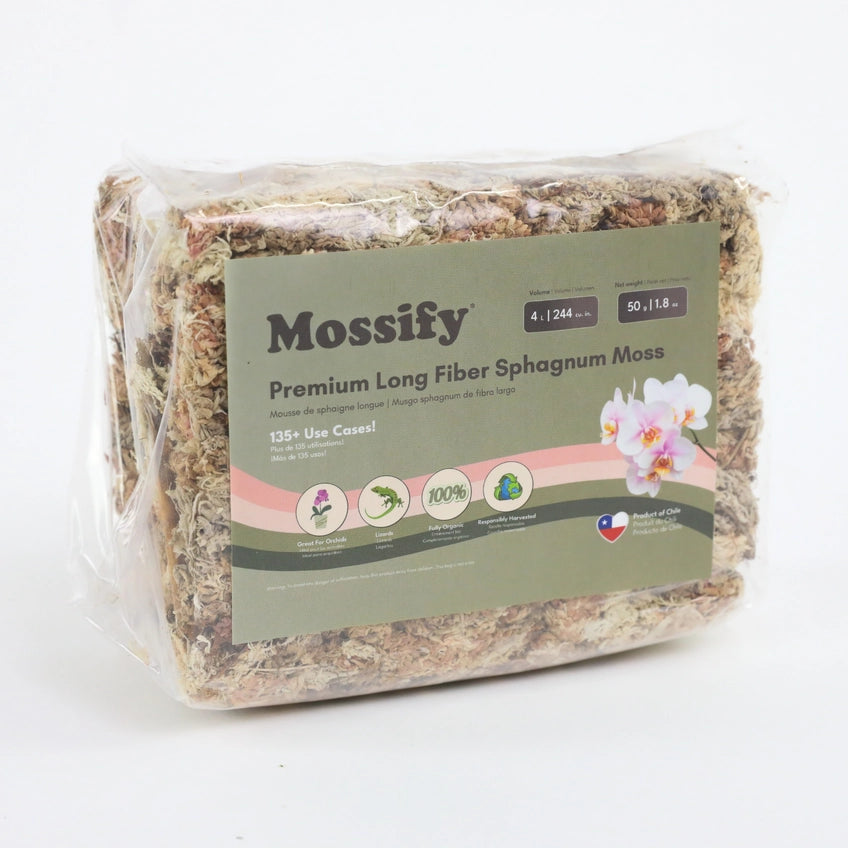 Premium Long Fiber Sphagnum Moss 50g - - Mossify - Wild Lark