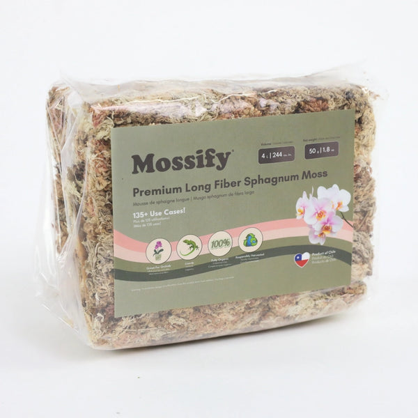Premium Long Fiber Sphagnum Moss 50g - - Mossify - Wild Lark