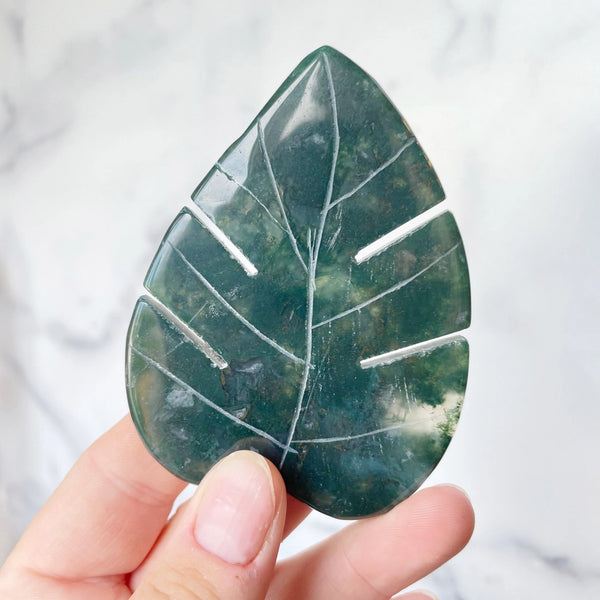 Moss Agate Monstera Leaf Carving -  - Ewelina Pas Jewelry - Wild Lark