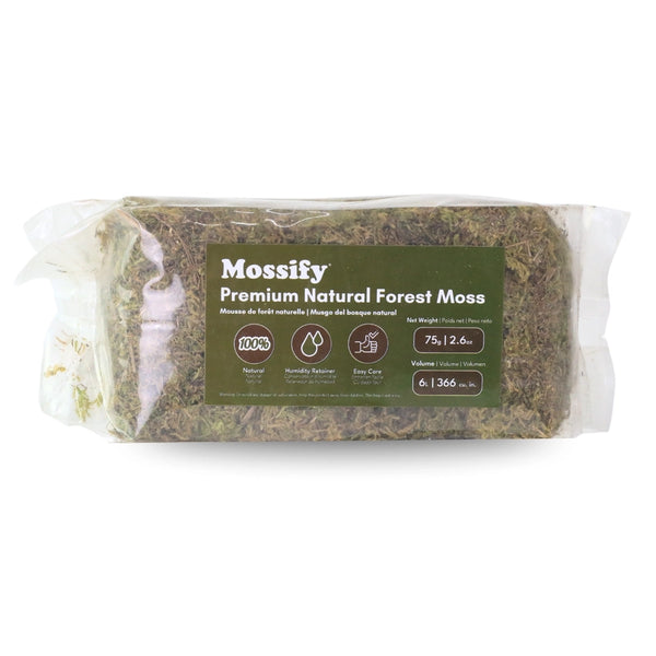 Premium Natural Forest Moss 75g - - Mossify - Wild Lark