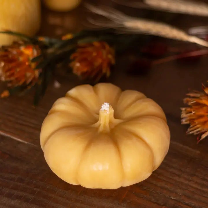 Sale!Pumpkin Beeswax Candle - - The Ramblin' Bee - Wild Lark