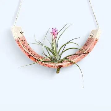 Hanging Air Plant Cradles - Pink Amaryllis / Small - Mudpuppy Ceramic Studio - Wild Lark