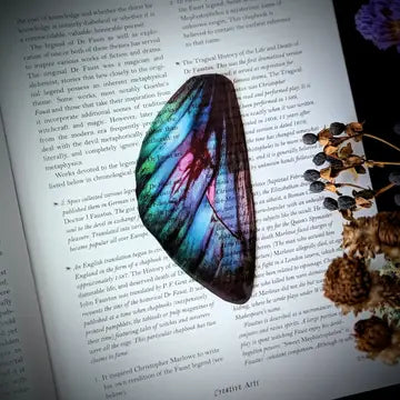 Clear Bookmark - Colorful Fairy Wing - Dark Veinlet - Wild Lark