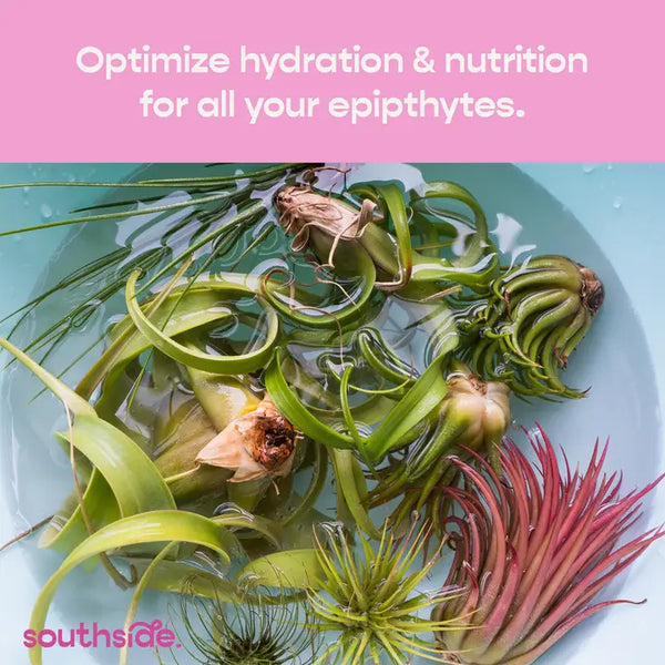 Air Plant Fertilizer - Spray and Soak - - Southside. - Wild Lark