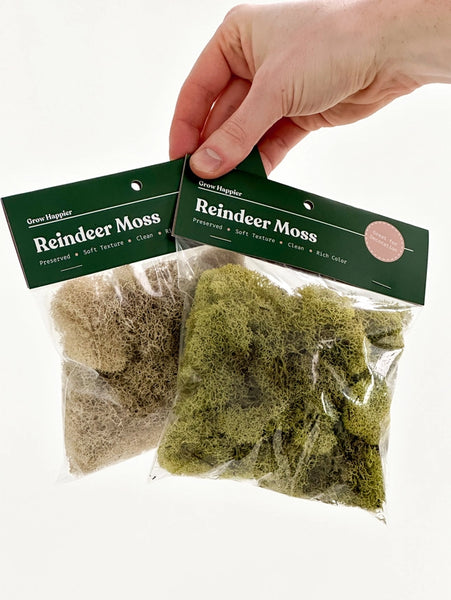 Preserved Reindeer Moss | Moss For Plants and Crafts - Mint Green / 30g Bag - The Plant Supply - Wild Lark
